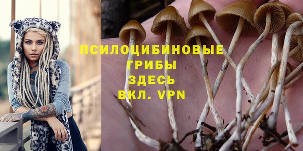 твердый Армянск